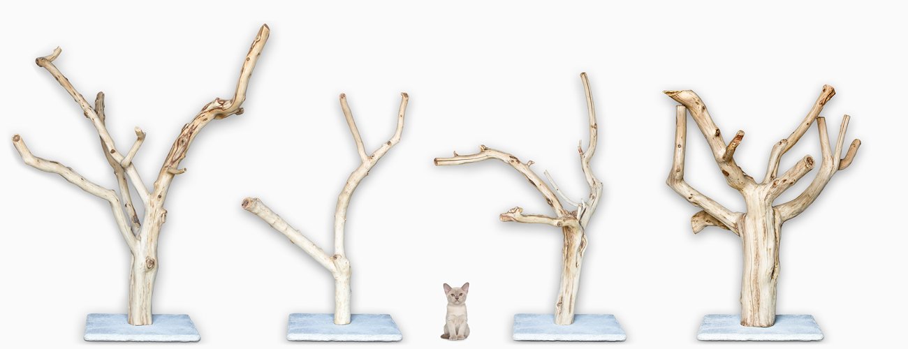 Kratzbaum für Katzen